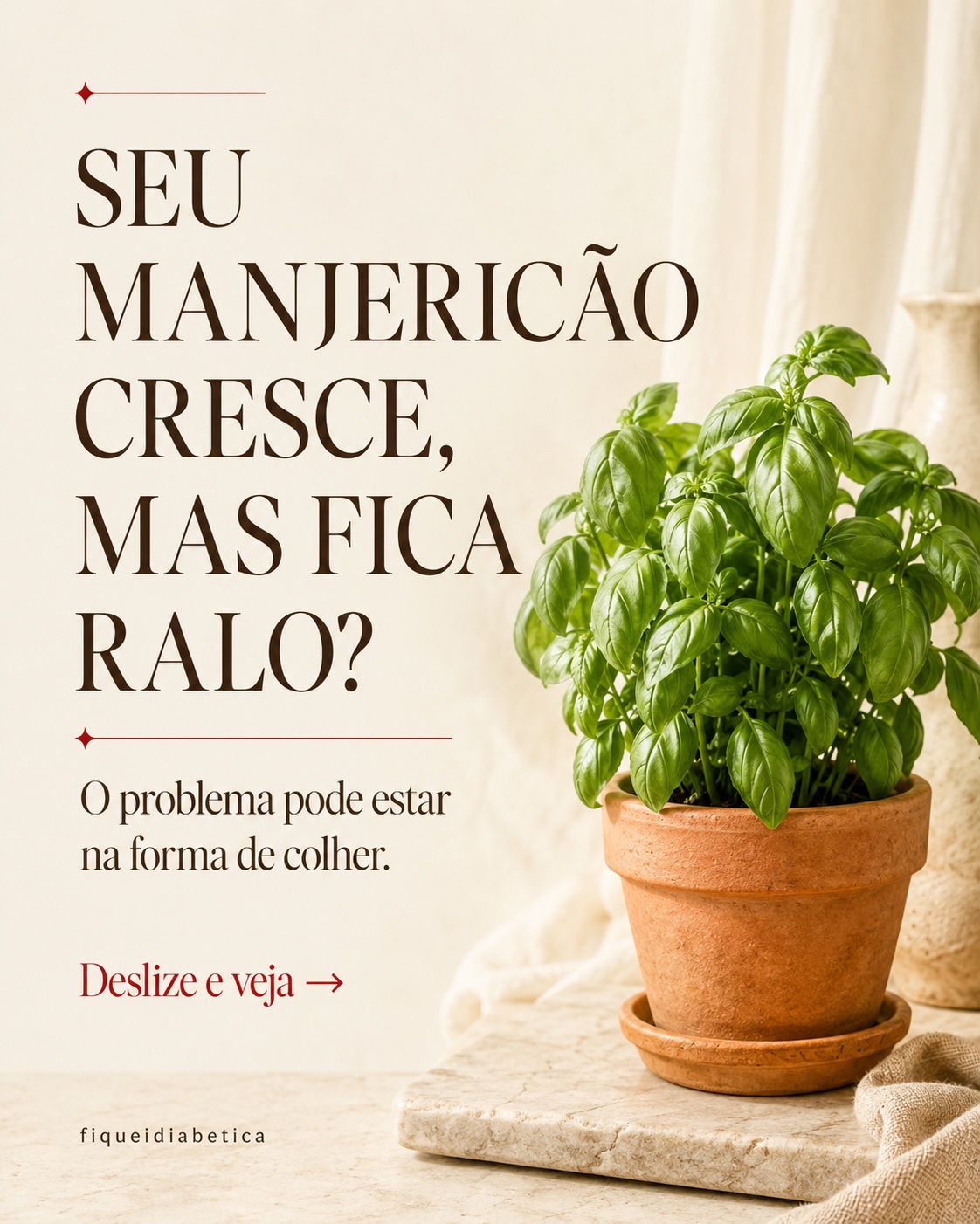 Capa da publicação sobre como podar o manjericão para a planta crescer mais cheia